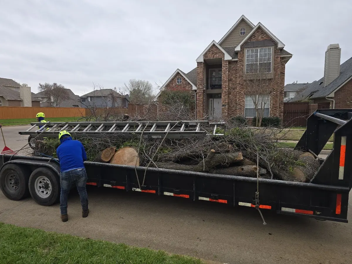 Expert Tree Fertilization with proper safety equipment in Lewis